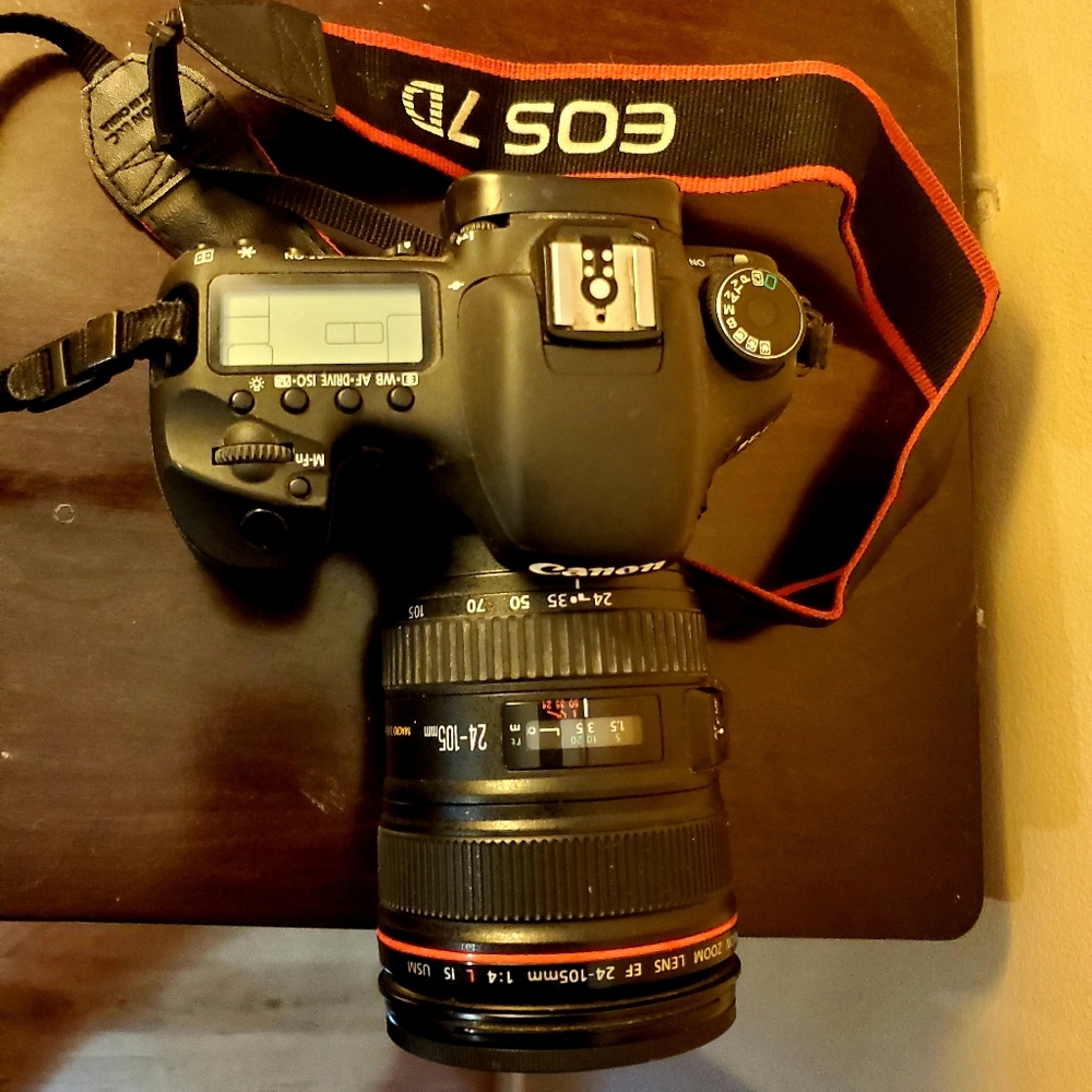 Canon EOS 7D - Picture 6 of 10